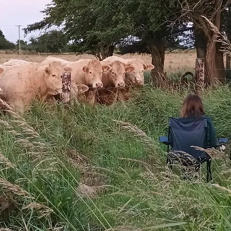 Ferienhaus The Old Mill, Kilcorkey Bellanagare, Castlerea, County Roscommon - West Of Ireland - House 2 *