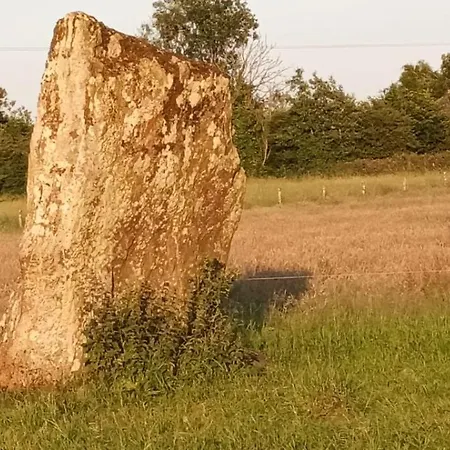 The Old Mill, Kilcorkey Bellanagare, Castlerea, County Roscommon - West Of Ireland - House 2 Prázdninový dům *
